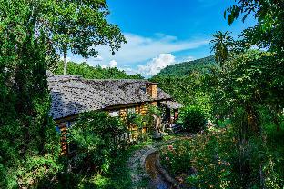 Chiang Mai Thailand Discount Code Agoda.com
