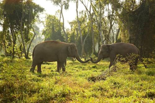 Golden Triangle, Chiang Saen Thailand Discount Code Booking.com