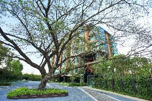 Chiang Mai Thailand Discount Code Agoda.com