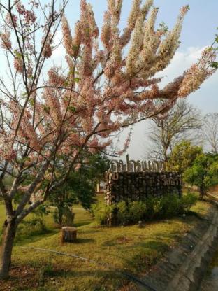 Pai Thailand Discount Code Agoda.com