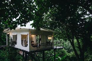 Trang Thailand Discount Code Agoda.com