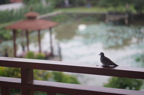 Nonthaburi Thailand Discount Code Booking.com